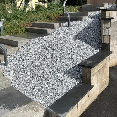 Whatsapp Image 2022 11 20 At 14.40.32